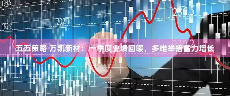 五五策略 万凯新材：一季度业绩回暖，多维举措蓄力增长