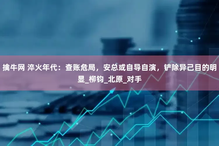 擒牛网 淬火年代：查账危局，安总或自导自演，铲除异己目的明显_柳钧_北原_对手
