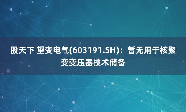 股天下 望变电气(603191.SH)：暂无用于核聚变变压器技术储备