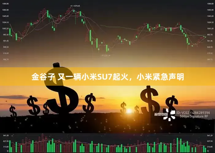 金谷子 又一辆小米SU7起火，小米紧急声明